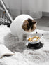 Y YHY Ceramic Cat Slow Feeder, Elevated Tilted Design for Dry and Wet Food, Dog Slow Feeder Bowl