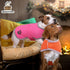 Queenmore Cold Weather Dog Coats, Loft Reversible Winter Fleece Vest, Waterproof Pet Jacket in Multiple Sizes