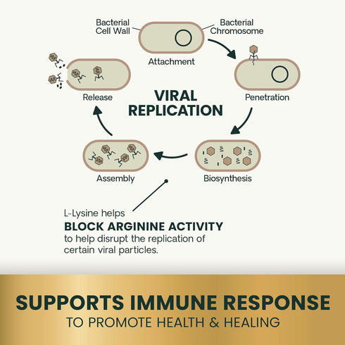Immunity 250 Immune 120 Count VetriScience Lysine Health Chews, mg Lysine Plus Supplement for Cats and Kittens
