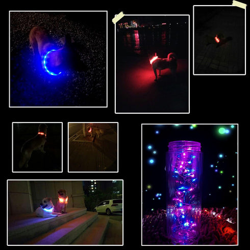 2 Pack Light Up Dog Collar for Night Walking, Rechargeable with 1640 Feet Visibility, Brightest LED Dog Collar
