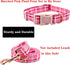 Elegant Little Tail Dog Collar, Adjustable Soft Collar for Small, Medium, and Large Dogs with Quick Release Buckle