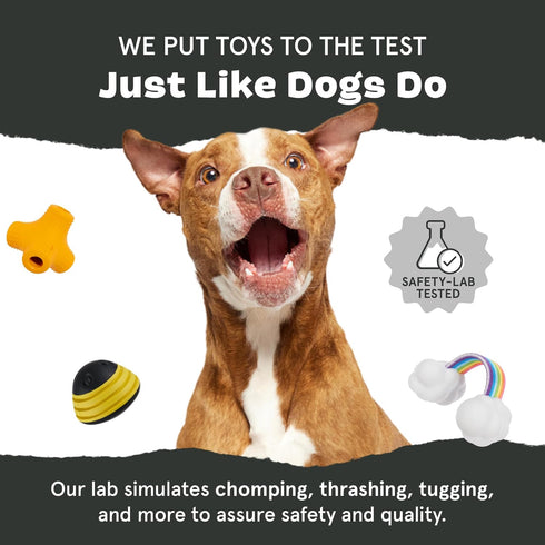 Barkbox Super Chewer Tough Dog Chew Toys, Treat Dispensing for Aggressive Chewers, Carrot - Small