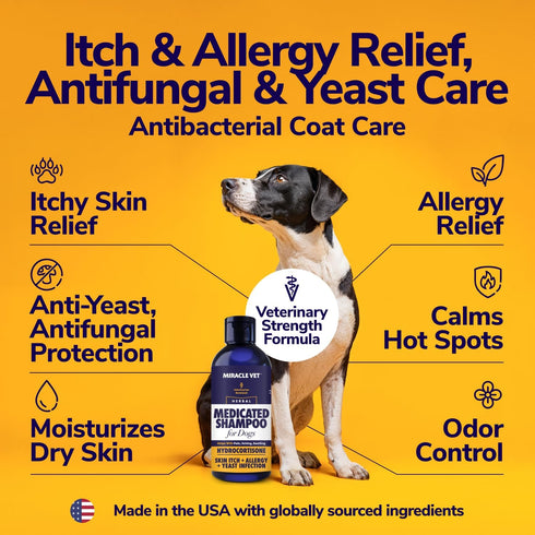 (16 oz) Miracle Vet Medicated Dog Shampoo for Itchy Skin Relief - Antifungal for Dog Allergy Relief, Yeast Infection
