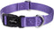 Hyhug Pets Solid Color Classic Regular Soft Nylon Collar for Medium Breeds Dogs, Ultra Violet