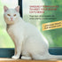 INABA Churu for Senior 10+: Creamy Lickable Cat Treats with Taurine, Vitamin E & C, 0.5 oz Each, 24 Tubes