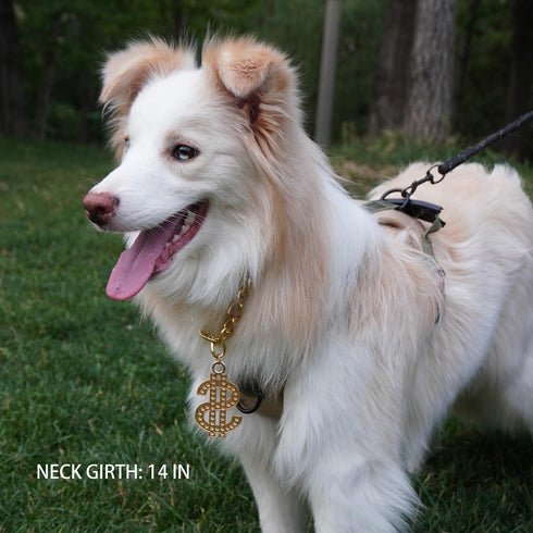 Cute Adjustable Pet Gold Chain with Dollar Pendant, Lightweight Cuban Link Necklace for Dogs and Cats, Bling Jewelry