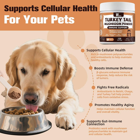 Immune Mushroom Supplement with Probiotics for Dogs & Cats, Turkey Tail Mushroom for Pets - Mushroom Powder for Boost