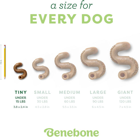 Benebone Tiny 2-Pack Durable Dog Chew Toy, Real Tripe for Aggressive Chewers, Made in USA