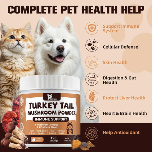 Immune Mushroom Supplement with Probiotics for Dogs & Cats, Turkey Tail Mushroom for Pets - Mushroom Powder for Boost