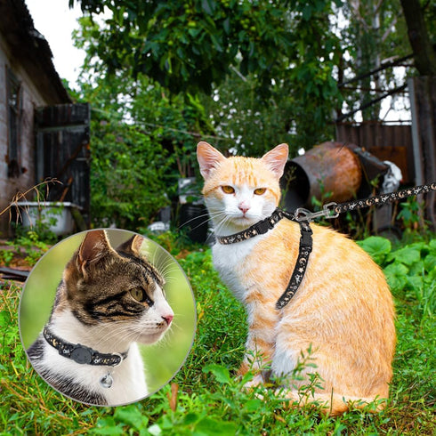 PAWCHIE Cat Harness with Leash and Collar Set - Adjustable H-shaped Harness with Glow in The Dark Pattern
