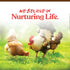 Manna Pro Harvest Delight - Whole Ingredient Chicken Treat - Harvest Mix, 2.25 lbs