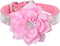 Cute Dog Collar with Bling Rhinestone, Fancy Crystal Diamond Soft Collars for Small Medium Large Breed Dogs (M, Pink2)
