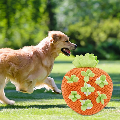 Leefasy 7 Funny Carrot Toys Hole Interactive Toys Decor for Indoor Cats Puppy