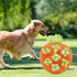 Leefasy 7 Funny Carrot Toys Hole Interactive Toys Decor for Indoor Cats Puppy