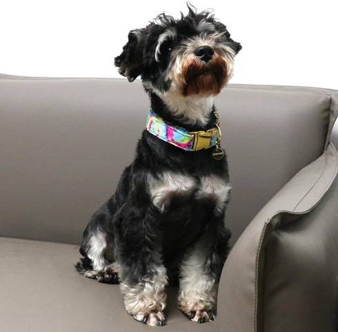 Tie Dye Summer Cotton Dog Collar with Metal Buckle, Gift Collar for Small Medium Large Dogs, Cute Durable Comfortable