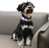 Tie Dye Summer Cotton Dog Collar with Metal Buckle, Gift Collar for Small Medium Large Dogs, Cute Durable Comfortable