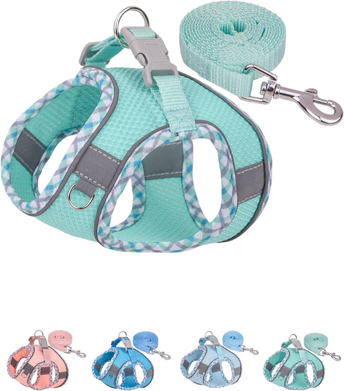 Petank Dog Harness for Small Medium Dogs: No Pull Puppy Harness and Leash Set for Walking, Training, Green, XXS