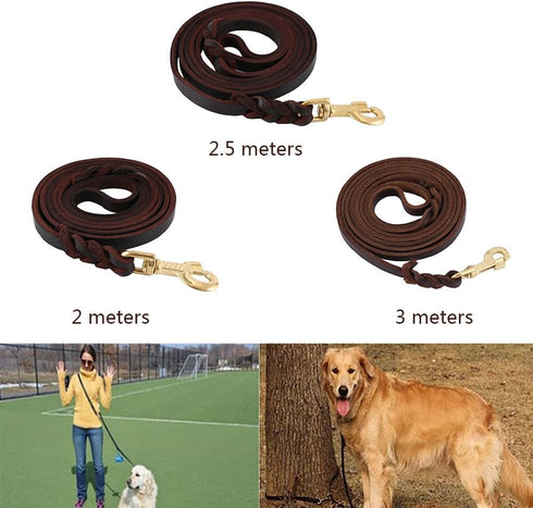 Premier Braided Leather Dog Leash 6/8/10 ft for Strong Medium Large Dogs, Heavy Duty Training Leash (10FT)