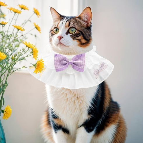 ANNUOZE 3 PCS Chiffon Cat Bibs with Bows, Sweet Lace Ruffle Dog Bib Collars, Cute Kitten Bandana Scarf, Pet Accessories