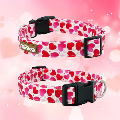 Valentine's Day Dog Collar, Cute Adjustable Heart Collar for Boy and Girl Dogs, Strong Plastic Buckle, M