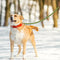 Mile High Life Mountain Climbing Dog Rope Leash - Heavy Duty Metal Clasp, Genuine Leather, Lime Green