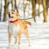Mile High Life Mountain Climbing Dog Rope Leash - Heavy Duty Metal Clasp, Genuine Leather, Lime Green