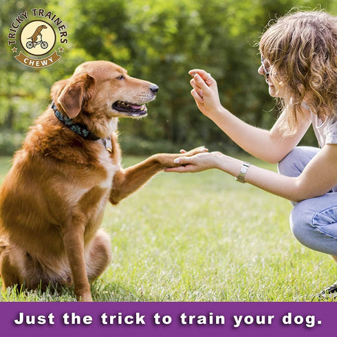 Cloud Star Tricky Trainers Chewy Dog Treats (3 Pack) - Whole Grain Soft Liver for Adult & Puppy, 14oz Each + 10ct Pet