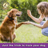 Cloud Star Tricky Trainers Chewy Dog Treats (3 Pack) - Whole Grain Soft Liver for Adult & Puppy, 14oz Each + 10ct Pet