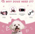 Pink Dog Collar and Leash Set for Medium Dogs, Soft and Breathable, Adjustable with Quick Release Buckle