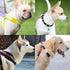 PuppyDoggy 2 Pack Airtag Holder for Collar, Waterproof Silicone Tracker Case, Anti-Lost & 1 Pack AirTag Keychain Holder