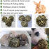 Tfwadmx Rabbit Timothy Grass Ball, Small Animal Activity Play Balls Chew Toys for Bunny, Guinea Pig, Hamster, Rat,