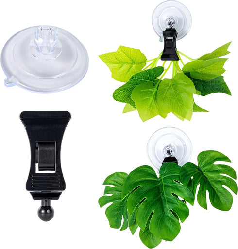 SLSON Fishes Veggie Seaweed Plant Suction Cup Clip Feeding Tool, 6 Pack Black Aquarium Accessories for Fish Tank