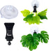 SLSON Fishes Veggie Seaweed Plant Suction Cup Clip Feeding Tool, 6 Pack Black Aquarium Accessories for Fish Tank