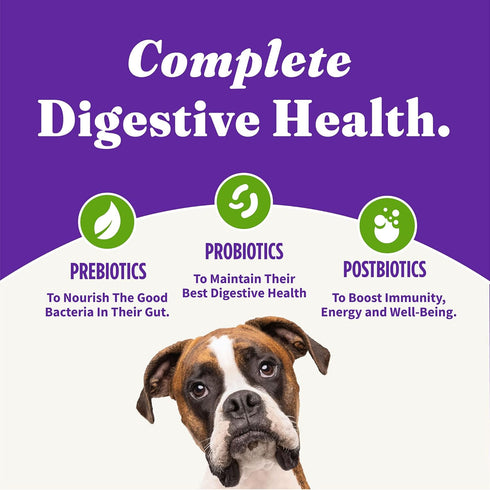 Halo Holistic Adult Dog Vegan Plant-Based Recipe with Superfoods, 3.5 lb Bag