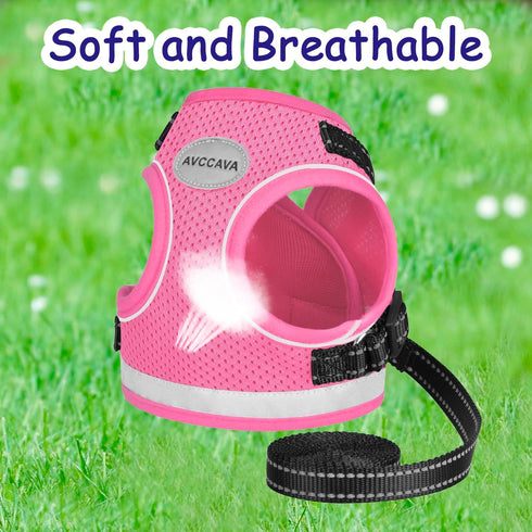 Cat Harness and Leash Set for Walking, Adjustable Reflective Escape Proof Harness for Kittens and Puppies