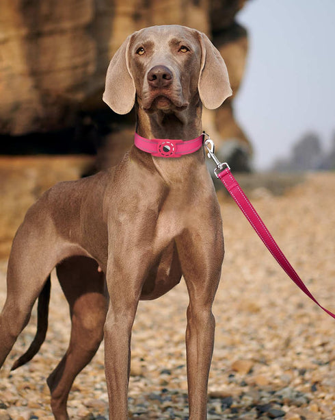 6ft Dog Leash for Small Medium Large Dogs - One-Sided Reflective Nylon with Padded Handle - Hot Pink