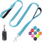 BAAPET Two Handle Dog Leash (1.0'' x 5 FT, Blue) - Dual Soft Padded Handles with Traffic Control for Small to Large Dogs