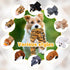 Sratte 10 Pcs Dog Squeaky Toys, Plush Teething Puppy Chew Toys for Small Medium Large Pets, 10 Styles (Delicate Style)