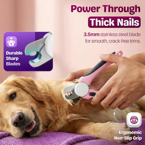 Trimmer Flexzion Pet Nail Clippers for Dogs & Cats - Stainless Steel Blade Cat Nail with Stored Nail File, Safety