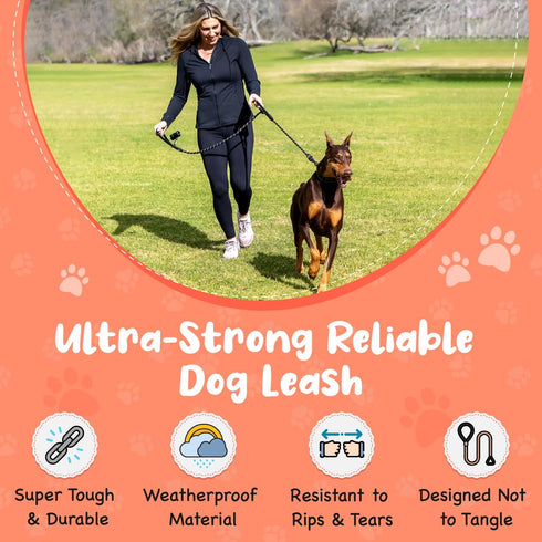 6 Foot Dog Leash with 2 Extra Padded Handles - Heavy Duty No Pull Rope Lead with Lockable Carabiner for Medium to Large