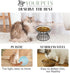 BNOSDM Elevated Cat Plate Shallow Ceramic Cat Dish with Gold Stand Whisker Fatigue Flat Cat Bowl, Raised Pet Food Dish for Indoor Small Cats and Dogs, Kitten, Kitty, Puppy, Fishbone Pattern