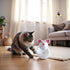 SquarezhenBo Mouse Shape Interactive Toys for Cats Toy,Play Cat Toy Pet Cat,Kitte Treat Holder Food Storage Dispenser