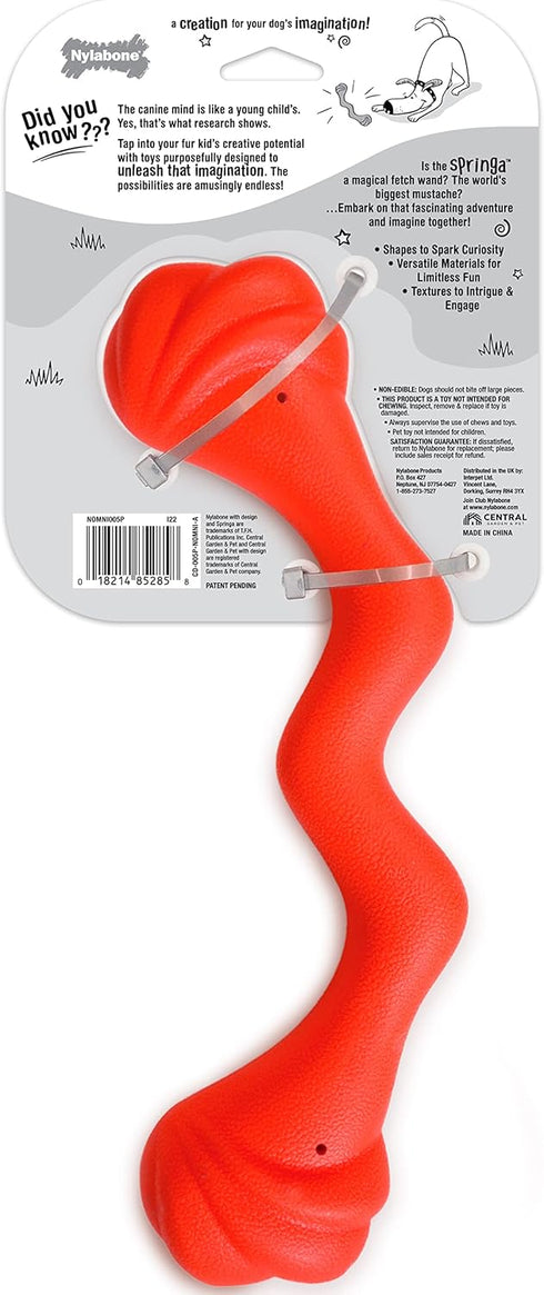 Nylabone Springa Interactive Dog Toy, Lightweight Flexible Floatable Tug Toy for Creative Play