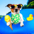 60 Sadnyy Pcs Dog Bandanas Bulk Heat Transfer Pet Bibs Sublimation Bandana Blank DIY Triangle Washable Bibs Scarfs