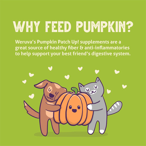 Weruva Pumpkin Patch Up!, Pumpkin with Ginger & Turmeric for Dogs & Cats, 2.8oz Pouch (Pack of 12)