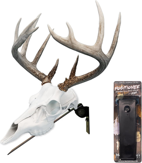Mountain Mike's Reproductions Deer Positioner European Skull Wall Mount, Black