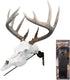 Mountain Mike's Reproductions Deer Positioner European Skull Wall Mount, Black