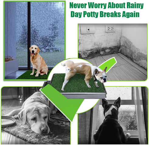 2-Pack Reusable Training Pad Potty with Replaceable Artificial Grass Quick Absorbent Indoor Portable Dog Patio Potty