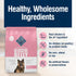 Blue Buffalo True Solutions Blissful Belly Adult Dry Dog Food, Digestive Care Formula, Chicken, 11 lb Bag