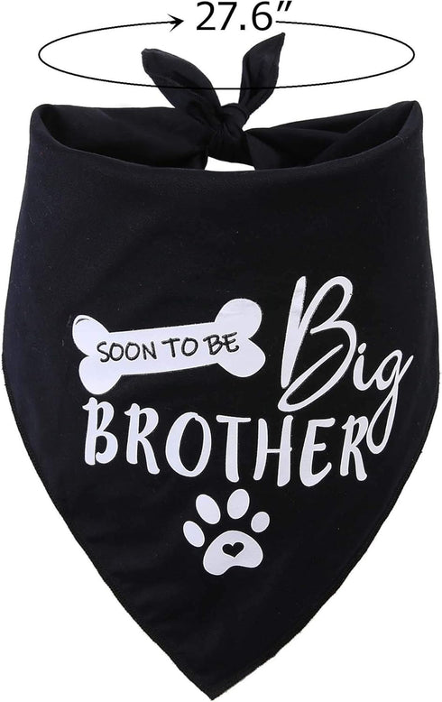Big Brother Dog Bandana - Reversible Triangle Bibs Pet Scarf